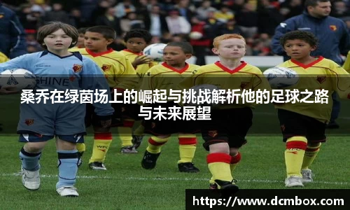 桑乔在绿茵场上的崛起与挑战解析他的足球之路与未来展望