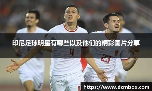印尼足球明星有哪些以及他们的精彩图片分享